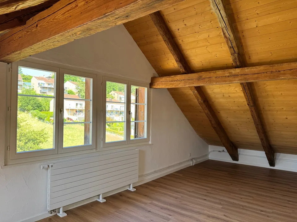 First-time occupancy after renovation - Charming attic apartment