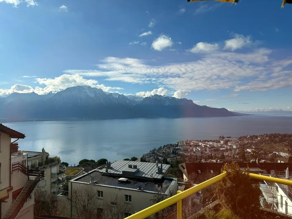 Appartamento con vista panoramica a Chernex – foto 12 di 13