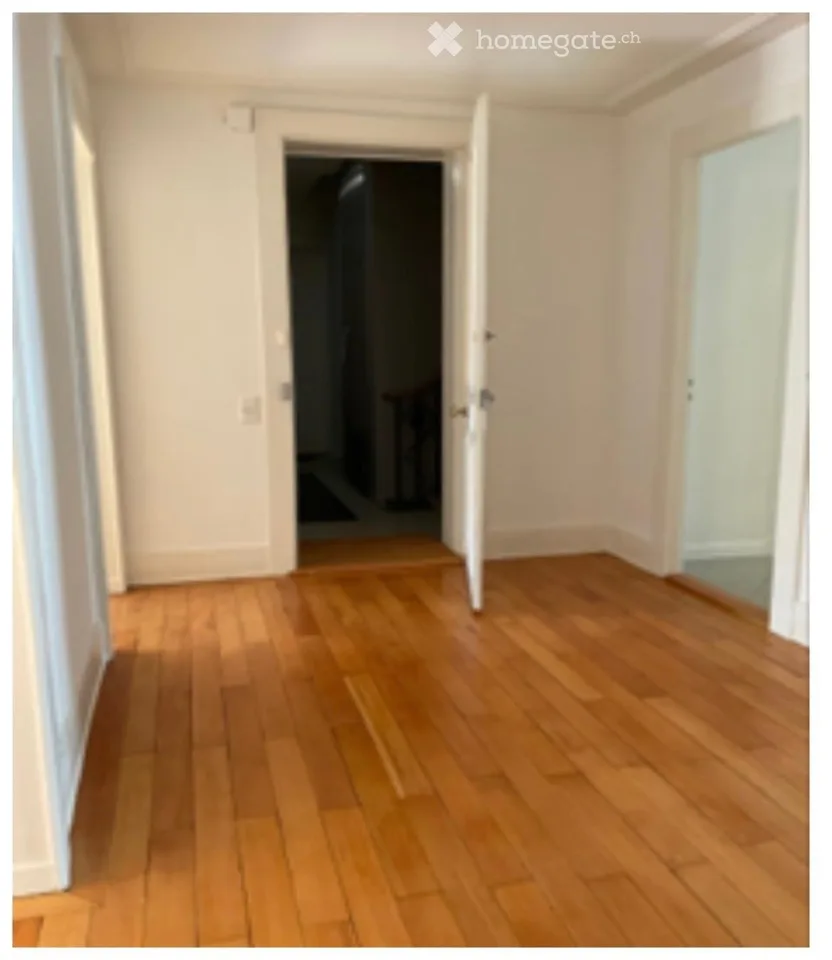 Spacious 6.5-Room Apartment in a Charming Old Building – Route de Malagnou, Geneva