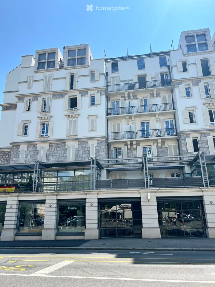 Spacious 6.5-Room Apartment in a Charming Old Building – Route de Malagnou, Geneva