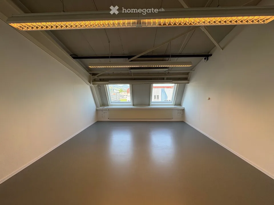 Spazi moderni e luminosi per ufficio o atelier a Wangen (SZ)