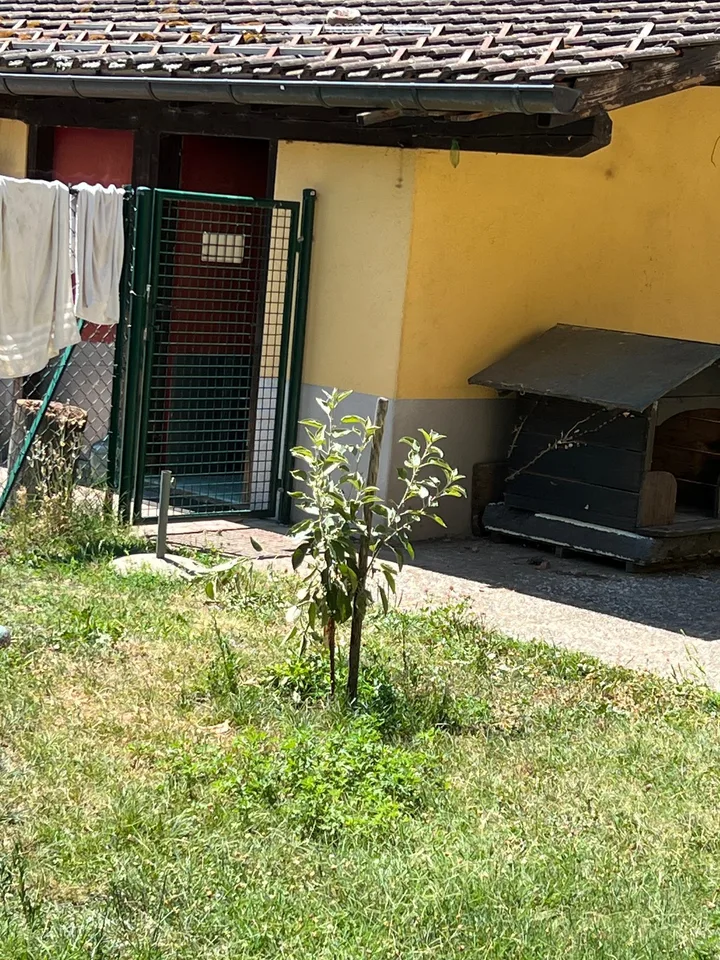 Helles 2.5-Zimmer-Apartment in Magliaso zur Miete