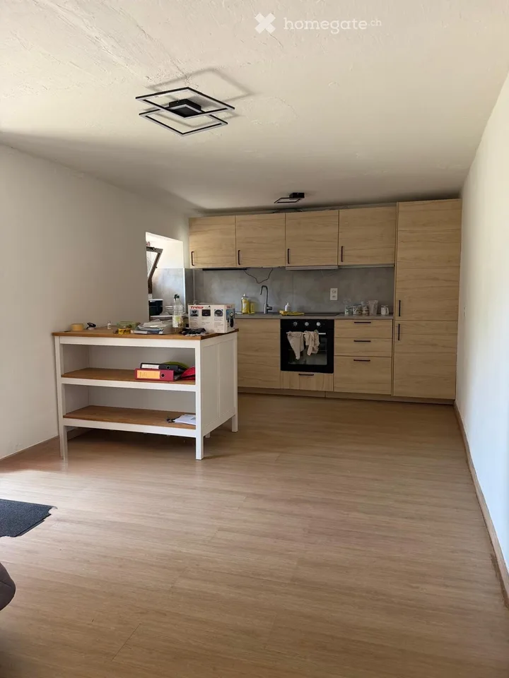 Helles 2.5-Zimmer-Apartment in Magliaso zur Miete