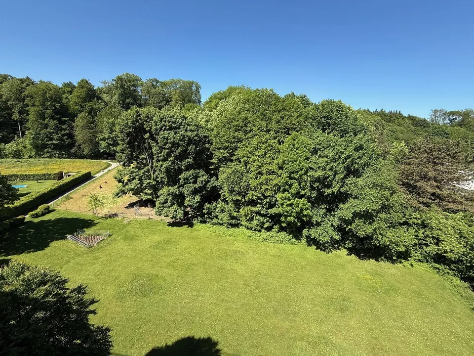Frisch saniert! Helle 4.5-Zimmerwohnung mit Ausblick ins Grüne – Foto 14 von 14