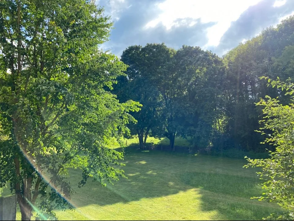 Frisch saniert! Helle 4.5-Zimmerwohnung mit Ausblick ins Grüne – Foto 6 von 14