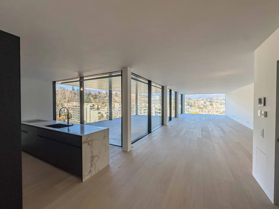 Attico di lusso vista lago a Paradiso