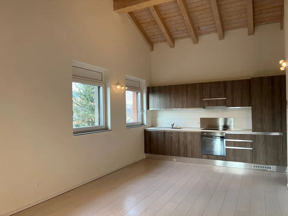 Moderno attico con tetto a vista in vendita a Cadro - POSTO AUTO