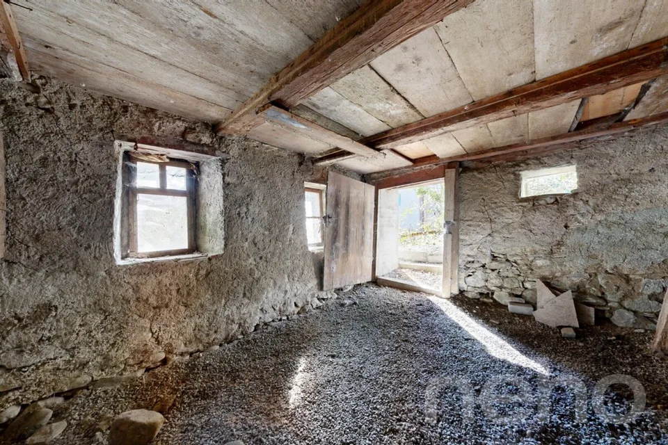 Maison jumelée historique au bord de la forêt avec potentiel d'expansion – photo 18 sur 19