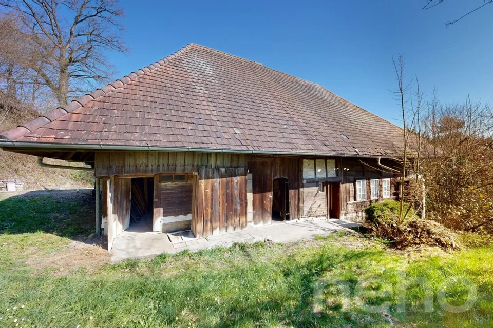 Casa bifamiliare storica al confine del bosco con potenziale di sviluppo