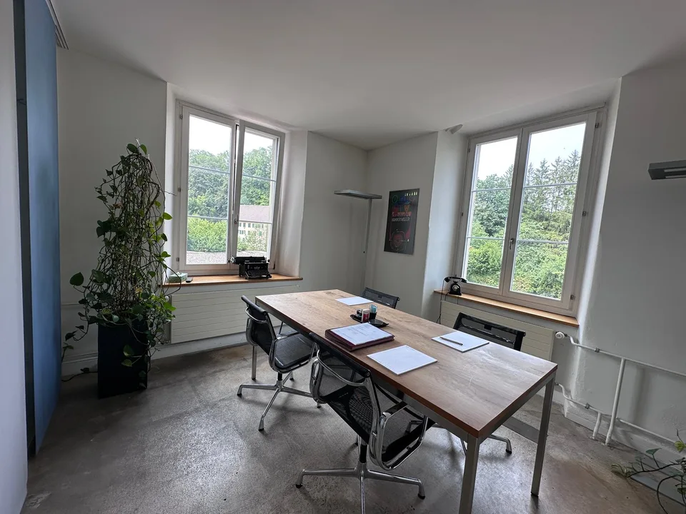Gewerbe- und Retailfläche im historischen Altbau – Aathalstrasse 84, Uster – Foto 8 von 16