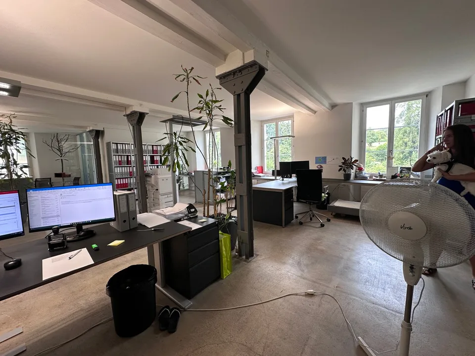 Gewerbe- und Retailfläche im historischen Altbau – Aathalstrasse 84, Uster – Foto 6 von 16
