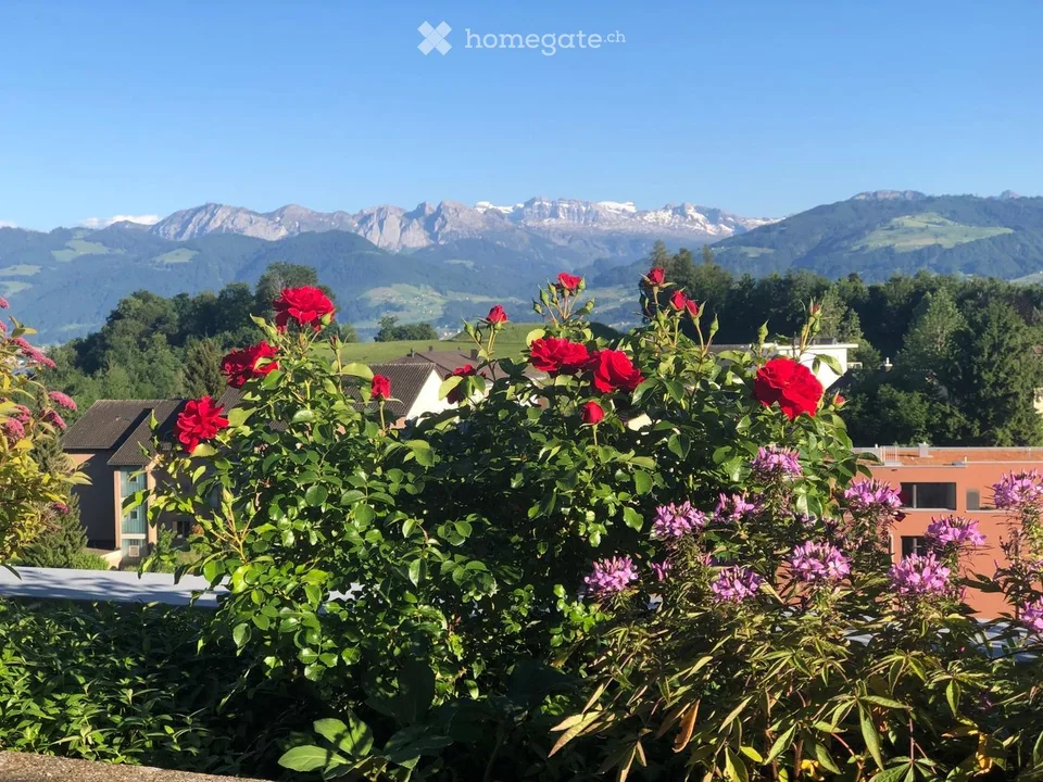 Casa terrazzata di 5,5 locali curata con una vista panoramica magnifica a Rapperswil-Jona