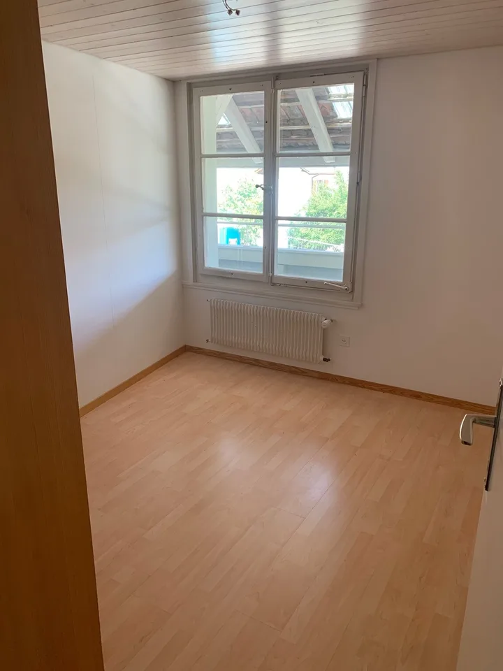 Charmant appartement de 5,5 pièces dans un immeuble ancien avec pergola/emplacement de grill pour usage exclusif
