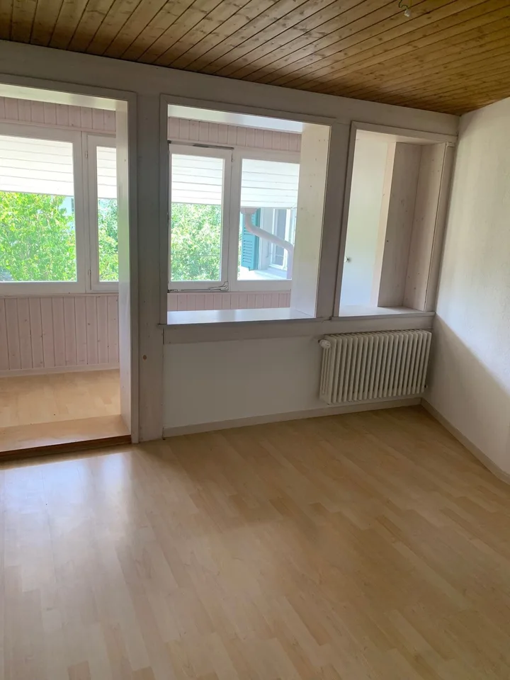 Charmant appartement de 5,5 pièces dans un immeuble ancien avec pergola/emplacement de grill pour usage exclusif