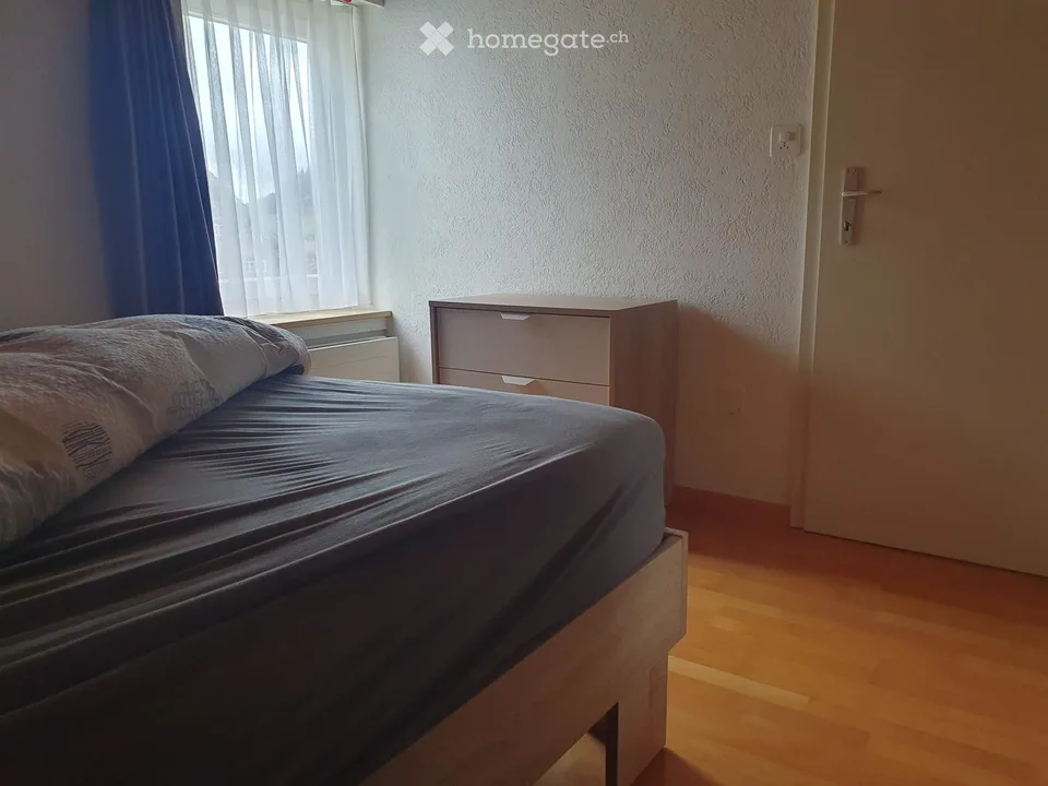 Beautiful apartment in the heart of Brunnadern