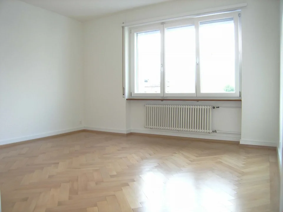 Charmante 3.5-Zimmer-Wohnung mit herrlichem Ausblick in Solothurn