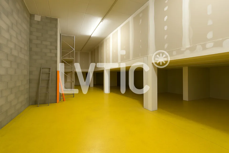Lager, Büro, Werkstatt von 469 m2 zur Miete in St-Légier