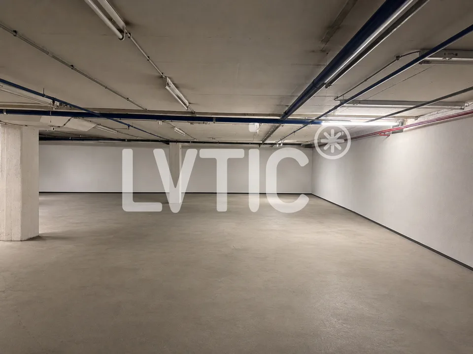 Dépôt de 680 m2 divisibles dès 300 m2 à louer à Martigny