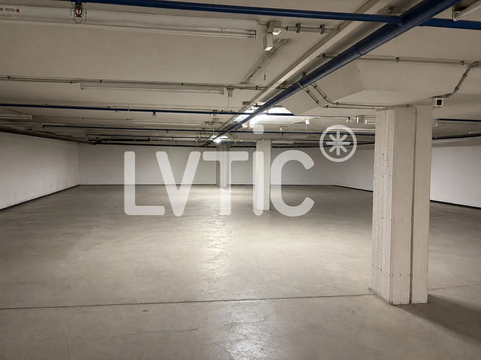 Dépôt de 680 m2 divisibles dès 300 m2 à louer à Martigny