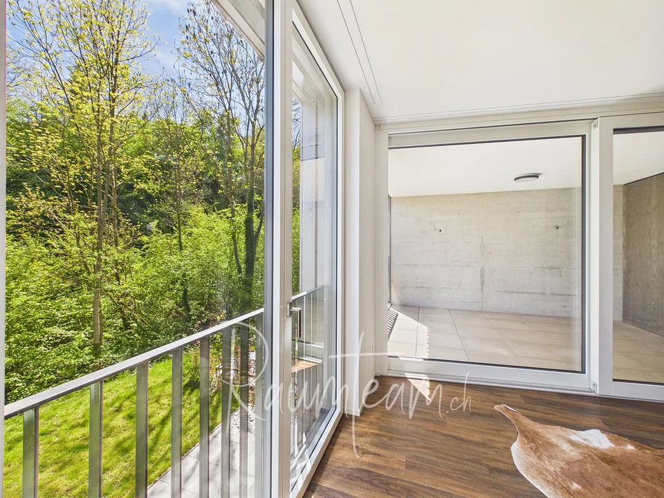 Modernes 5.5-Zimmer-Reihenhaus in Tägerwilen – Neubau 2023 mit Minergie-Standard