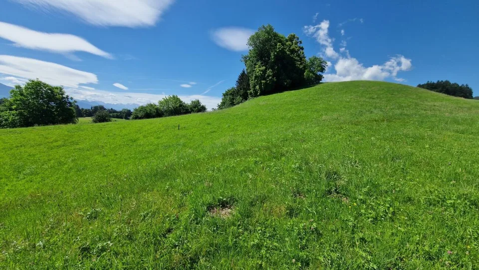 Bauland "Wilen", Walzenhausen – Foto 6 von 10