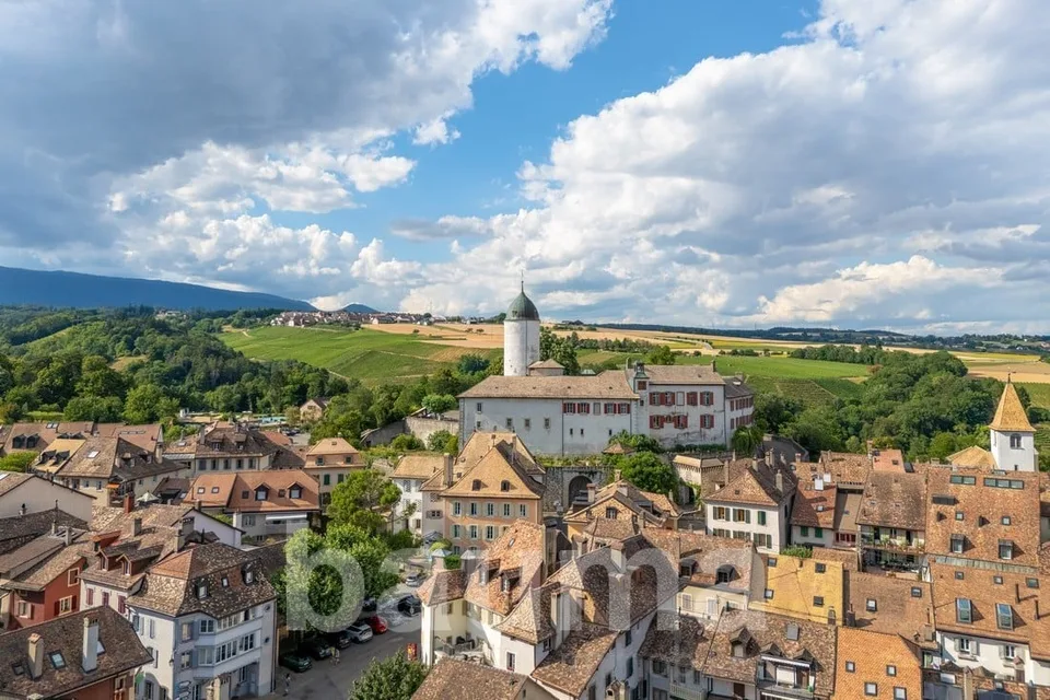 Prächtiges 10-Zimmer-Haus in Aubonne