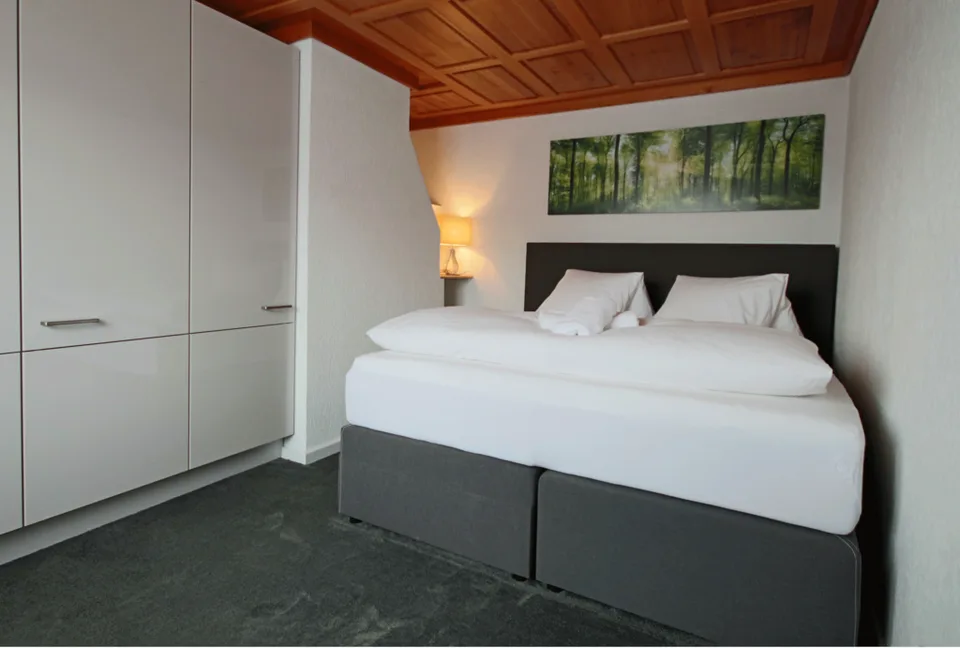 Gemütliches, möbliertes 1.5-Zimmer Appartement in Sargans
