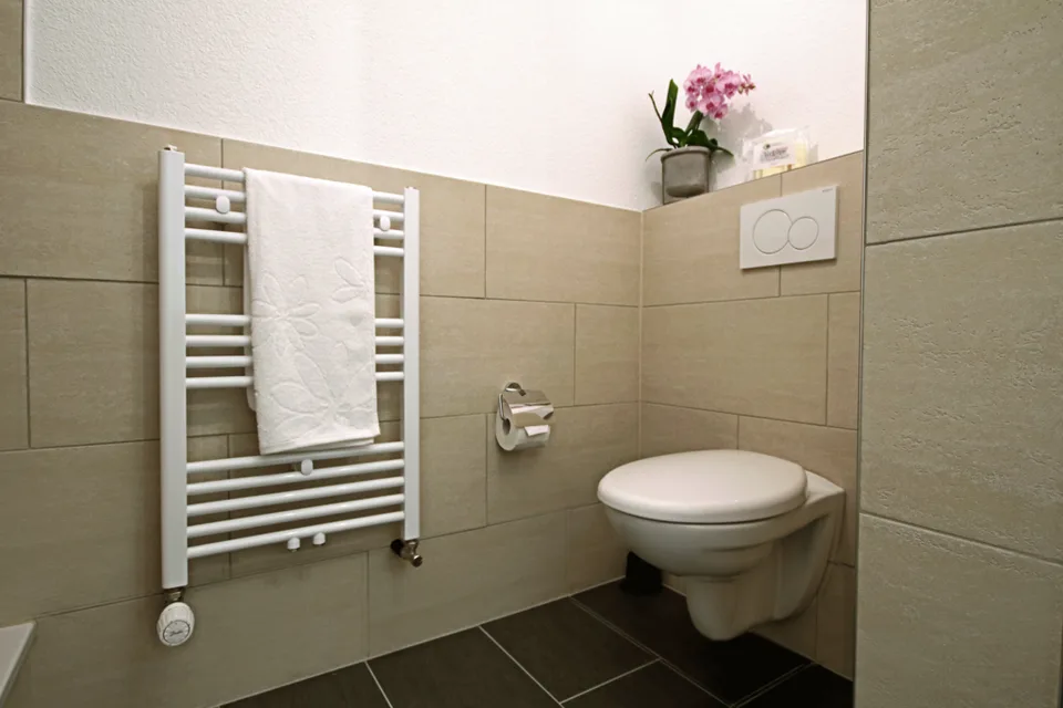 Gemütliches, möbliertes 1.5-Zimmer Appartement in Sargans