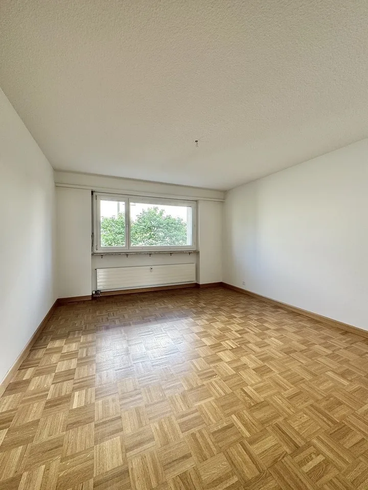 Attikawohnung mit Weitblick..