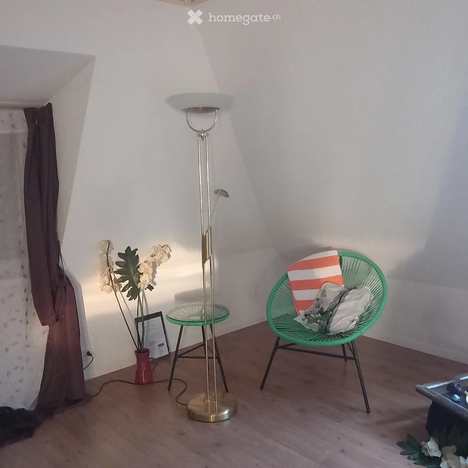 Helle 2,5 Zimmer Wohnung