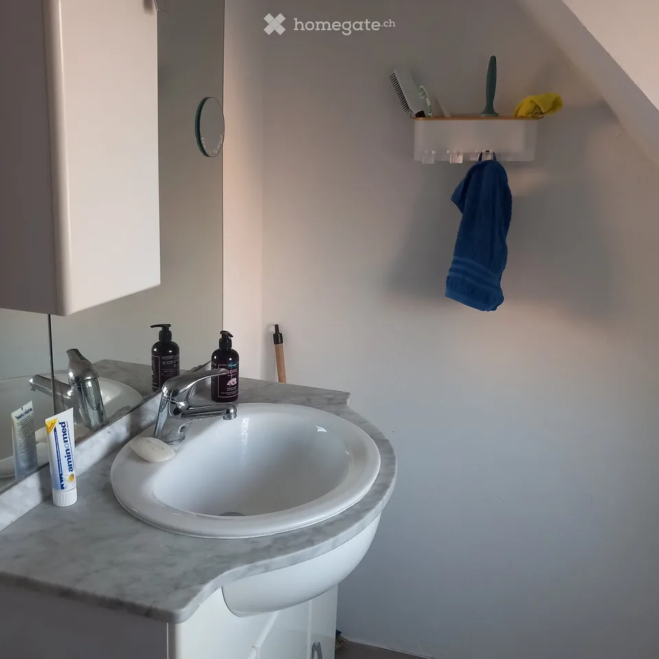 Helle 2,5 Zimmer Wohnung