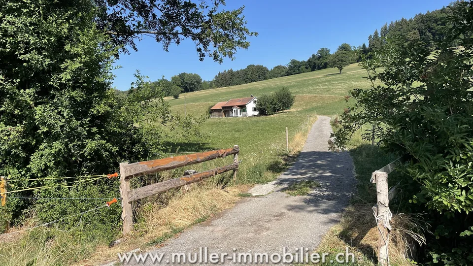 Charmante maison au milieu des prés, proche de Romont