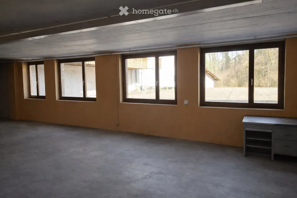Commercial and storage space for rent in Dornach - also partial areas available