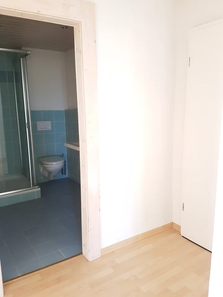 Zu vermieten, ein hübsches kleines Apartment mit 2 Zimmern, in einem Familienhaus, in St-Pierre-de-Clages! – Foto 8 von 13