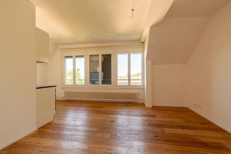 Heimelige 2.5 Zimmer-Dachwohnung