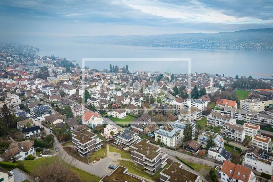 Einzigartiges 7-Zimmer-EFH mit hochwertigem Innenausbau in Horgen zu kaufen!