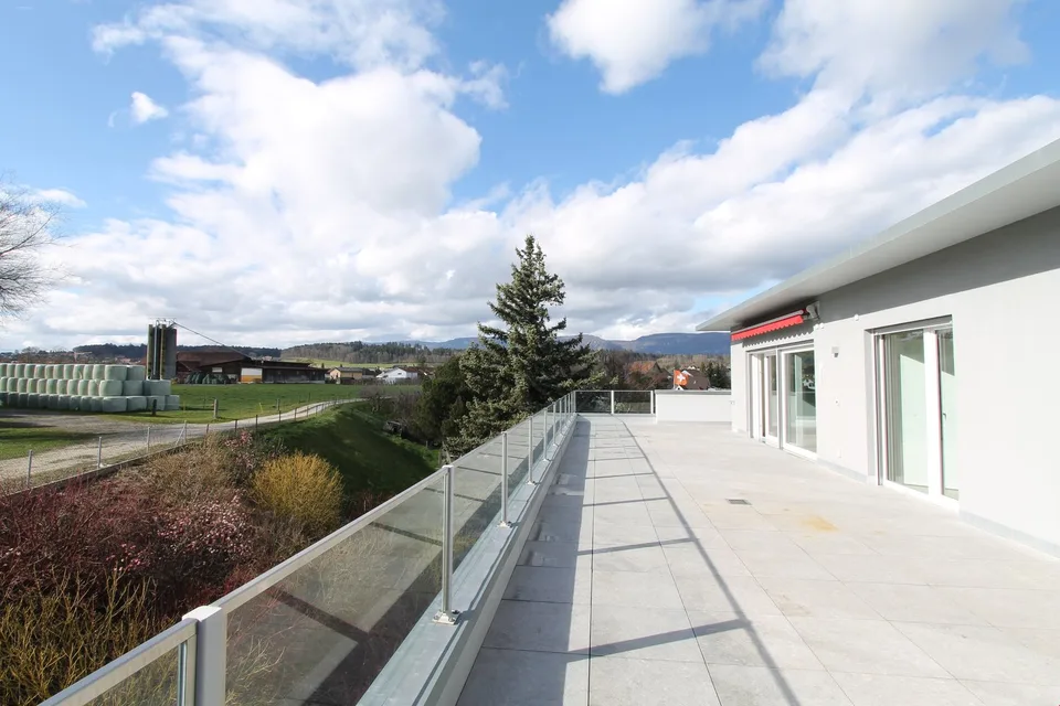 Appartamento Attico Luminoso con Vista sul Verde