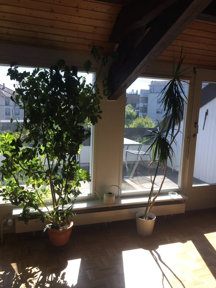 grosszügige 2.5 Zimmer Altbauwohnung im Dachgeschoss mit Dachterrasse