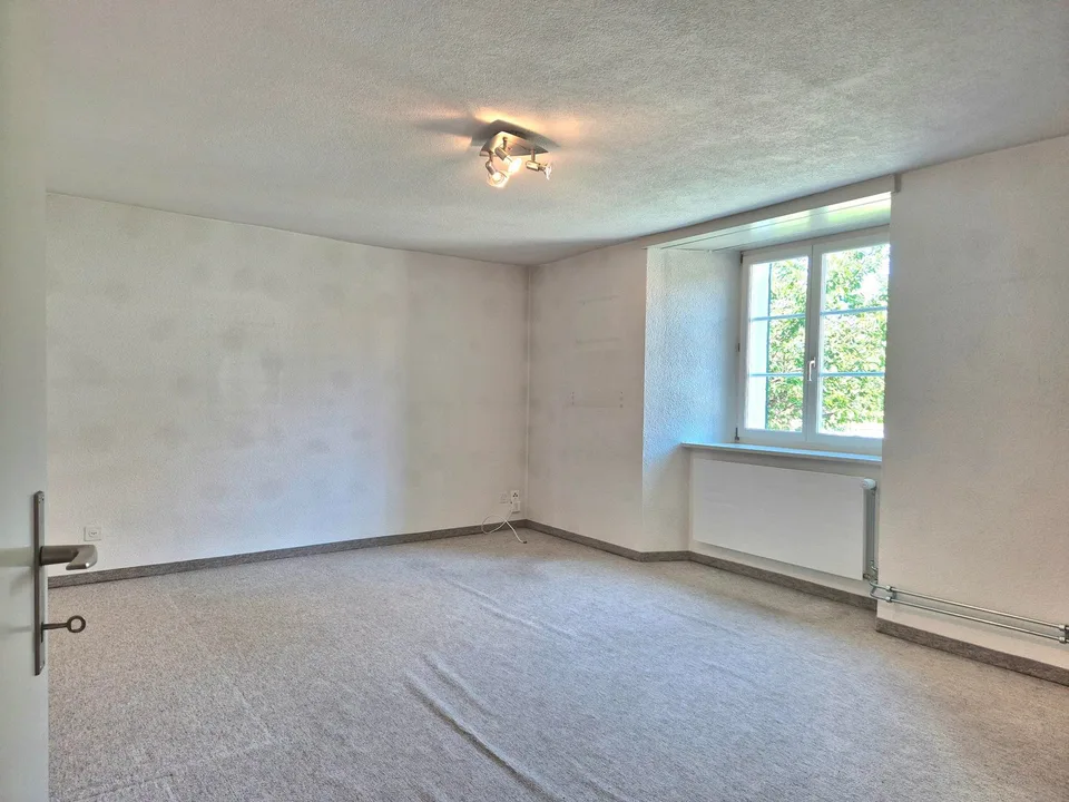 Delizioso appartamento di 3,5 locali con camino e terrazza a Kestenholz – foto 10 di 13