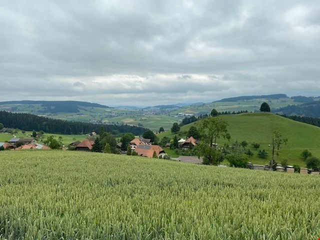 Charmante 2-Zimmer-Wohnung mit Panoramablick in Zäziwil
