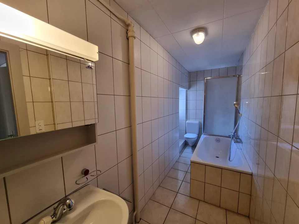 Bello appartamento parzialmente ristrutturato di 4,5 locali con balcone e giardino comune – foto 12 di 12