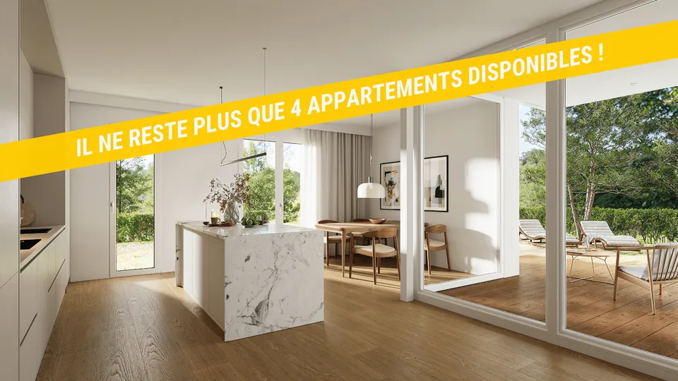 Appartement de 2.5 pièces dans les combles (B.4)