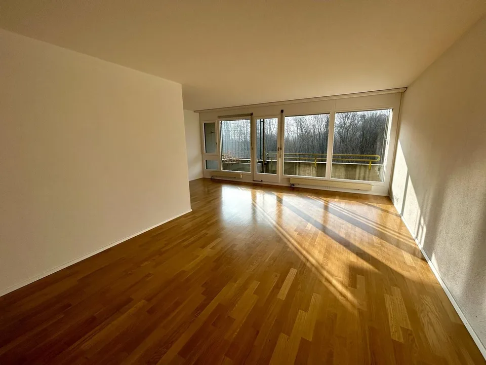 Fraîchement rénové ! Appartement de 4,5 pièces lumineux avec vue sur la verdure