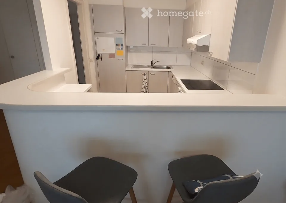 🌟 Superbe 5,5 pièces moderne au cœur des Eaux-Vives🌟