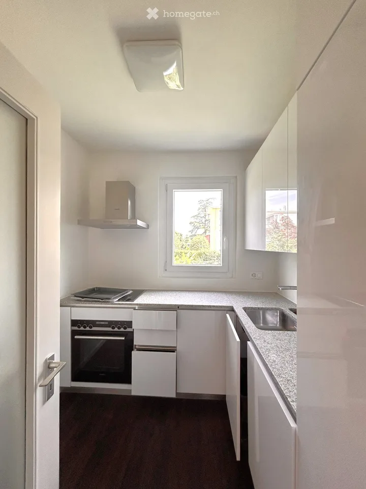 Affascinante appartamento di 3 locali con balcone e vista