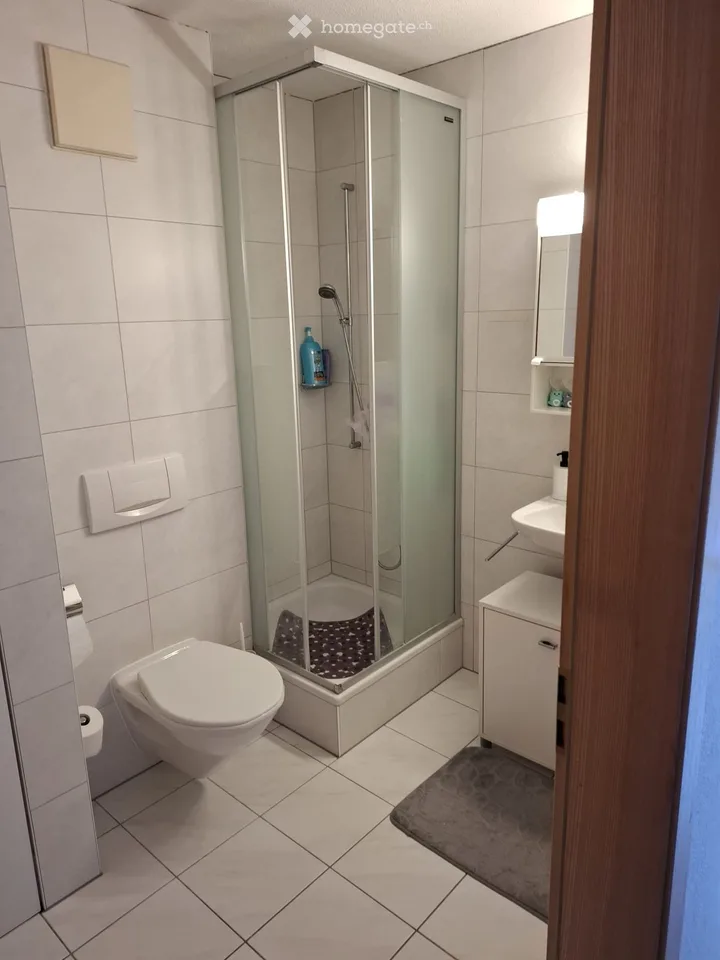 4.5 Zimmerwohnung in Salgesch zu vermieten