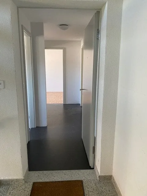 Appartement de 3 pièces rénové avec balcon, dans un quartier calme.