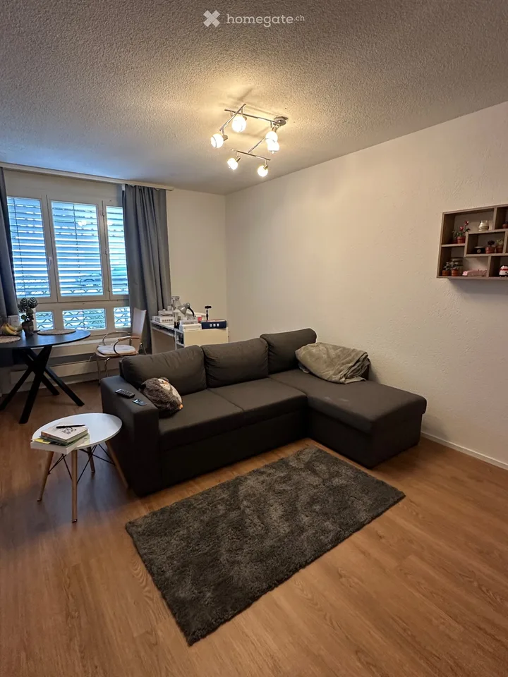 Moderne 2.5-Zimmer-Wohnung in Affeltrangen