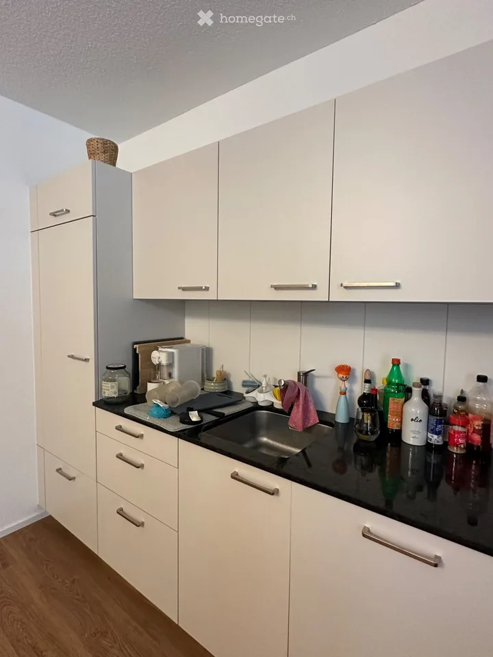 Moderne 2.5-Zimmer-Wohnung in Affeltrangen