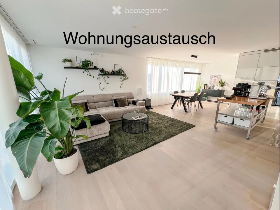 Austausch Attikawohnung in Rotkreuz